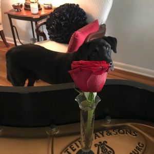 Meet your Posher, Rick